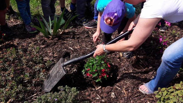 18664159_1990078017889338_2210262842690880711_n